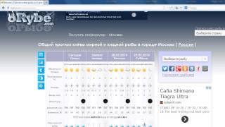 Клев рыбы в й оле сегодня