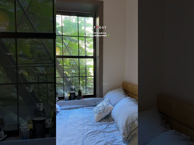 Preview image: Video 1