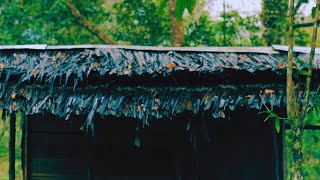 Rainy Day in Tropical Jungle Hut | Relaxing Rain Sounds for Sleeping Fast, Insomnia, Stress Relief