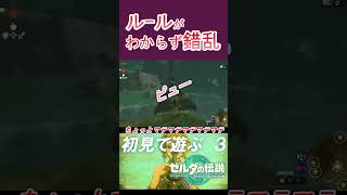 【ティアキン】ミニゲームが訳わからず錯乱してしまった男の記録#shorts