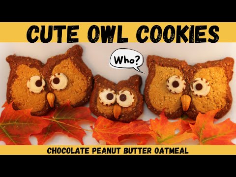 Halloween Owls - Chocolate Peanut Butter Oatmeal