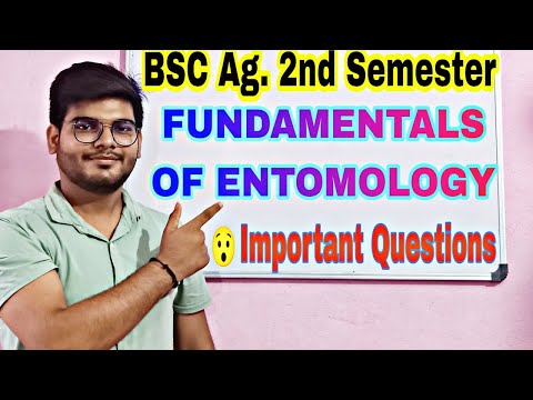 fundamentals of entomology bsc agriculture 2nd semester fundamentals of entomology 2nd semester