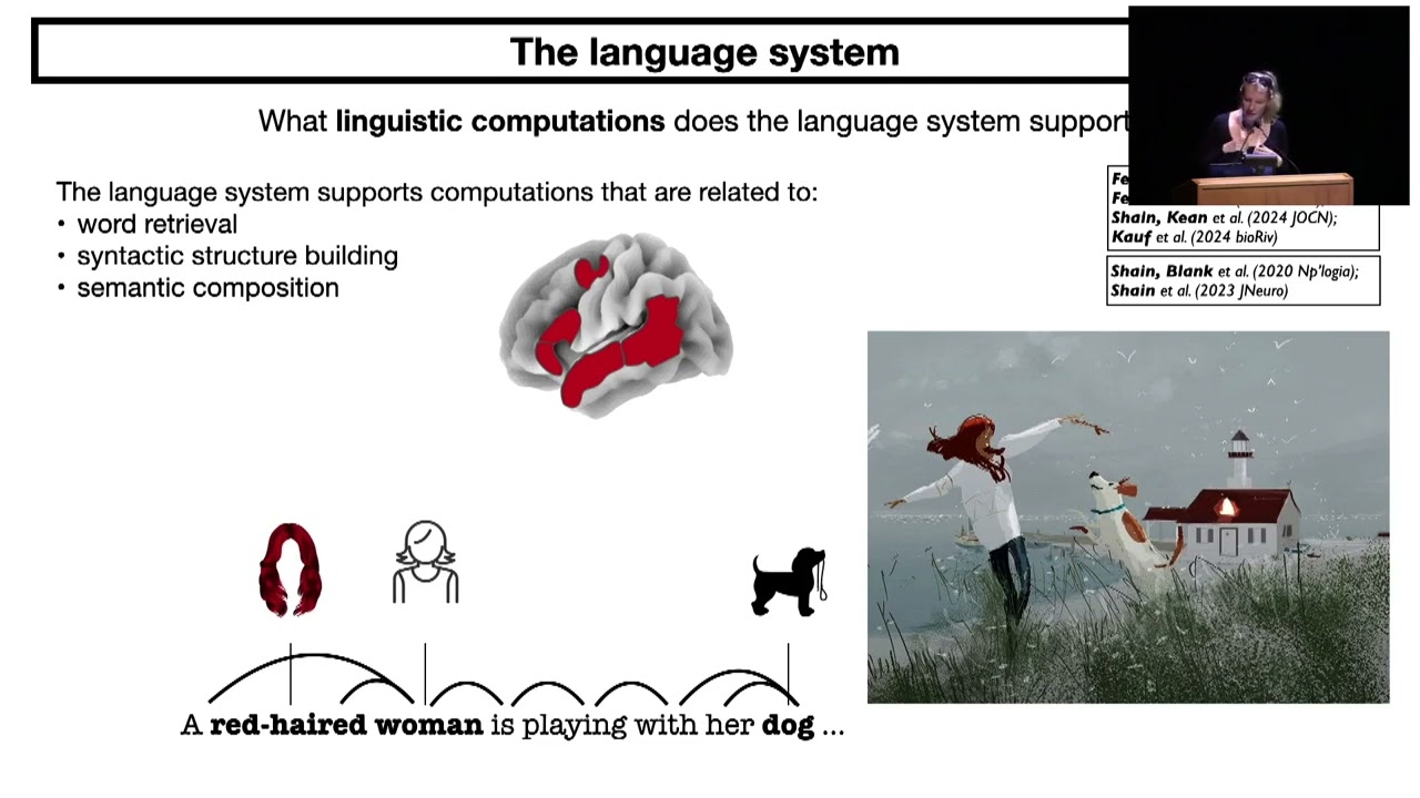 Evelina Fedorenko - Neural Net language models as models of language processing in the human brain