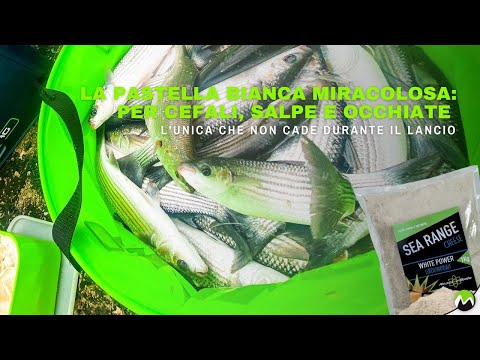 LA PASTELLA BIANCA MIRACOLOSA: per Cefali, Salpe, Occhiate e Orate - non cade durante il lancio