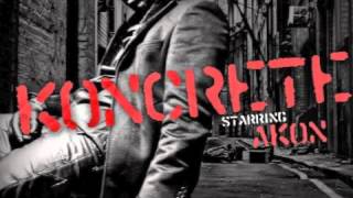 Akon - Still a Survivor