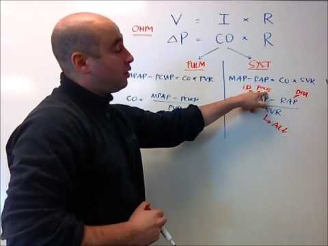 Cardiac Hemodynamics