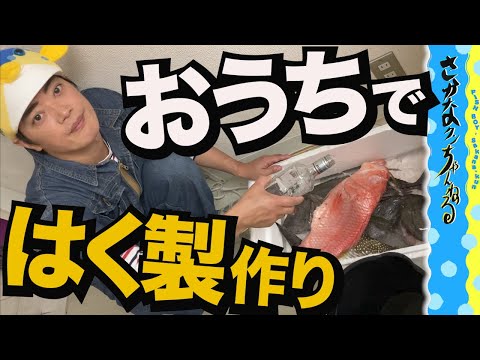 Caranx lugubrisについて詳しく解説