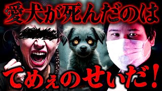【ブチギレ】お前が全部悪い!愛犬の死を全て人のせいにしたがる粘着おばさんと大喧嘩 #コレコレ切り抜き #ツイキャス