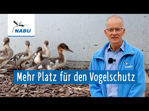Zukunftspläne im NABU-Vogelschutzzentrum Mössingen