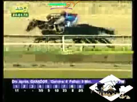 LA RINCONADA 6 CARRERA, DOMINGO 24 DE ENERO DEL 2016