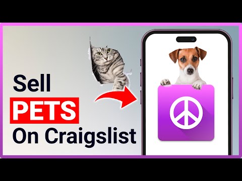 Mobile Craigslist Pets