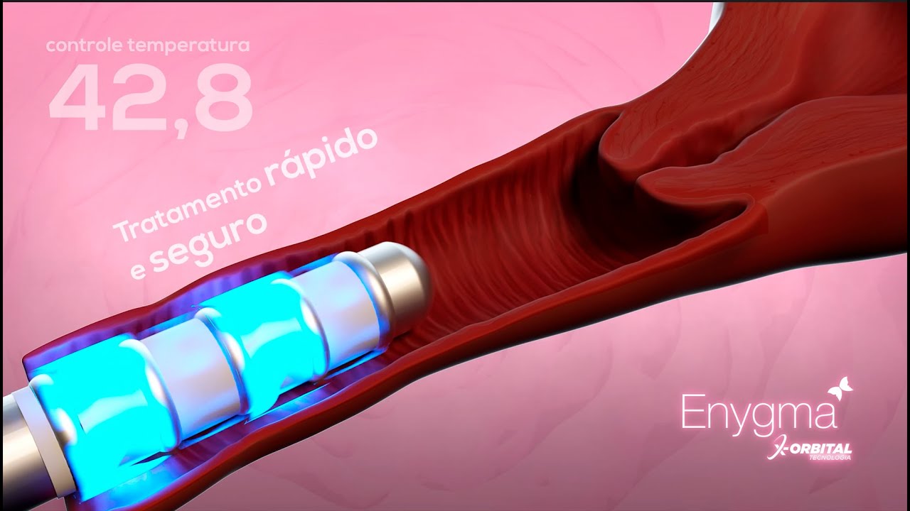 Dulce Cristina Pereira Henriques-26