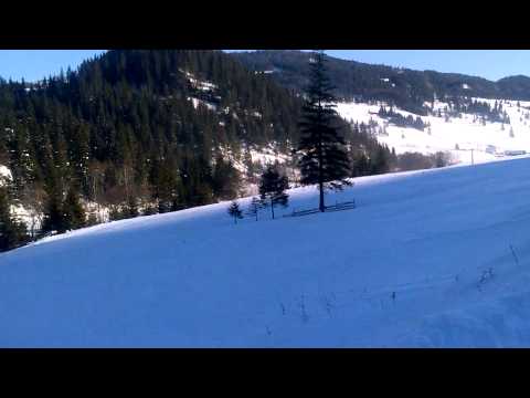 Spre Trei Fantani pe Valea Bicajelului iarna