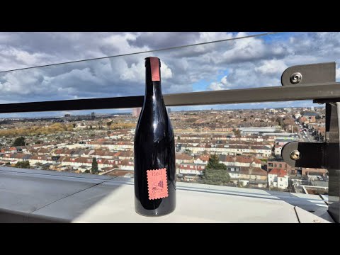 Novel Wines Explorer's Club - Hanna Glatzer's Organic Cabernet Sauvignon 2020, Austria