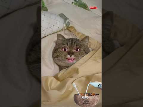 suprit baby ki wish mumma ne puri ki 🤩👍 #shorts #lagranacomedyfun #trending #viral