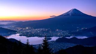 Separations - Lionheart