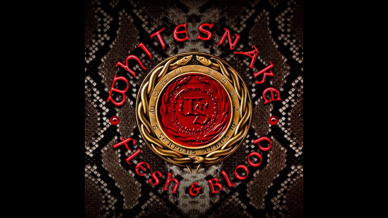 Whitesnake - After All [HQ] - YouTube