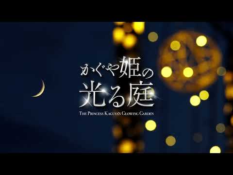 bambou-pot-terrasse-bac-galets-brise-vue-bois