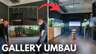 Dafür haben wir alle Gallery Aquarien verschoben!