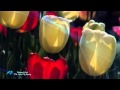 The Color Of Spring - BERNWARD KOCH (Relaxing, soothing, emotional music)