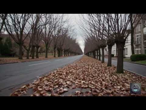 Carriage to the Beyond | Haunting Techno Voyage