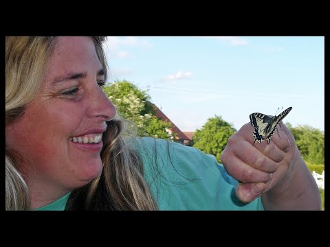 Christiane Denzel - Ein Kurzfilm über das pädagogisches Angebot