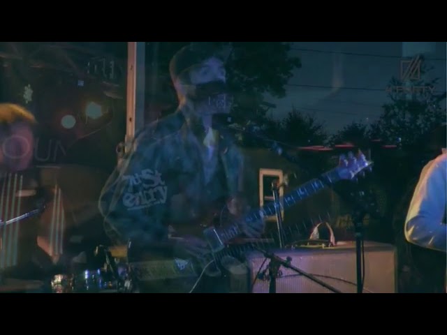 Pine Tree Video