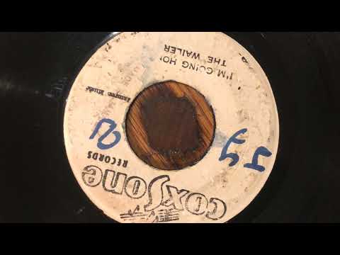 The Wailers - I'm Going Home / It Hurts To Be Alone