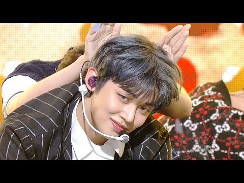 TOMORROW X TOGETHER - Cat and Dog [Music Bank Ep 977]