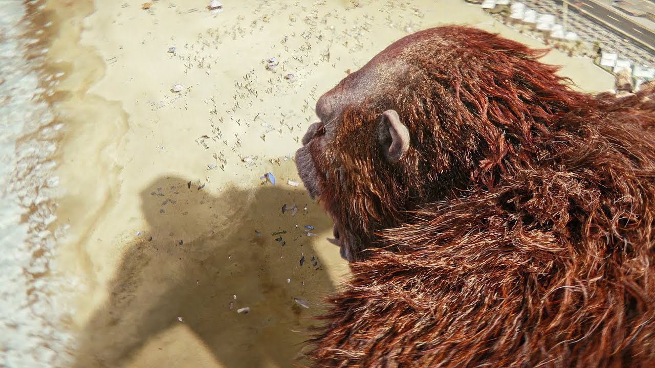 CRIATURAS GIGANTES PRESAS NO SUBSOLO ESCAPAM PARA A SUPERFÍCIE DA TERRA PARA DESTRUIR A HUMANIDADE!