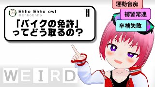 運転センス０だけど「バイクの免許」取れた事について質問ある？【グラセフから学ぶバイクの教習】