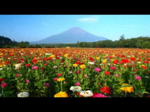 【1530】 Porta do Sol - Sou o amor