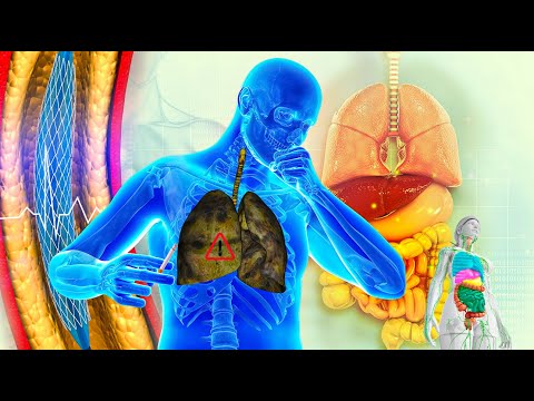 Leistungsstarke Fettverbrennungsfrequenz 432 Hz, 98 % Effektiv In 4 Minuten | Verjüngung Und Attr...