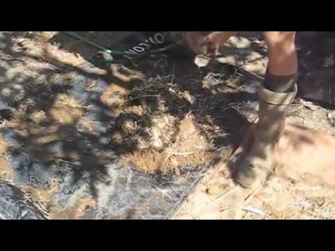 Appa's Fast Cob: The Mix