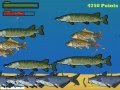 Panas Little Bass Survival Free Online Fish Game, paling heboh!