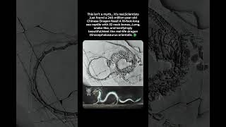 Download lagu Naga Cina Asli Ditemukan di Cina! mp3 Download lagu Naga Cina Asli Ditemukan di Cina! mp3