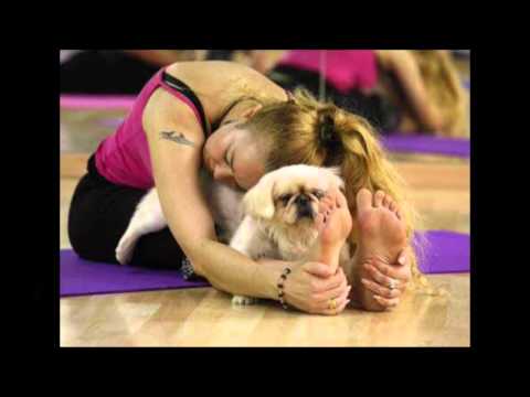 El Pique De Falú 01-05-16 (04) - Entrevista al Pastor Aquiles Fuenmayor y Remi Martin