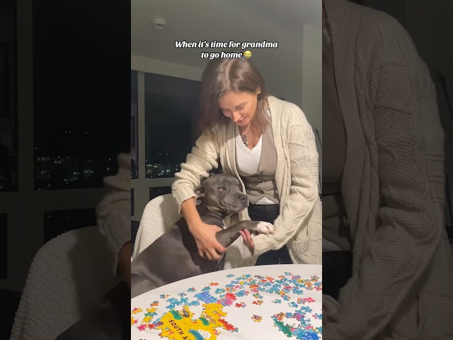 Vídeo relacionado con Funny Best Dog Grandma Ever Best Dog Grandma Dog Grandma Dog Grandma Camiseta