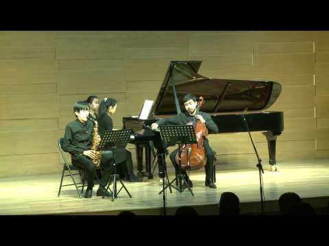 Brahms: Trio Op.114 - I. Allegro - Hanchao Jiang & Tong-Guignard Duo