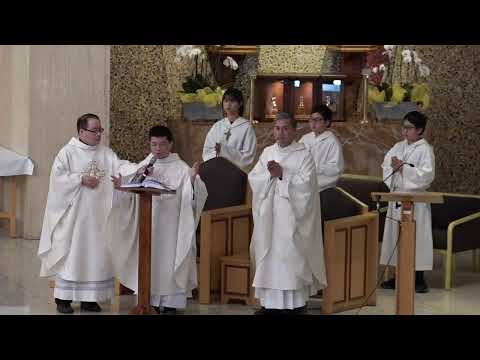 Thánh Lễ Thứ Tư Tuần XVI Thường Niên. Năm A - 26 de julho de 2023
