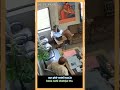 Rajasthan School Viral Video Teacher Aur Teacher Ki Mohabbat Ka Bhanda Phod