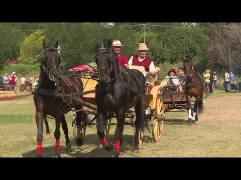 Közel-kép –  II. Lovastalálkozó Csantavéren