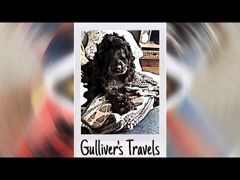 Dabnah - Gulliver Travels (Acoustic) [official audio]