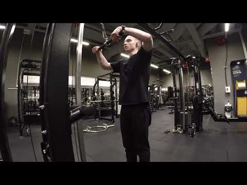 Winter bulk day 12, Arms