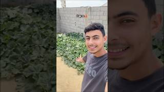 Our daily routine in Gaza—hard life, endless struggle, but we keep going. Donation link in bio #gaza