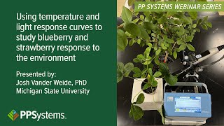 Using temperature & light response curves to study blueberry/strawberry response to the environment