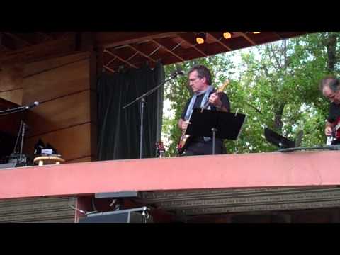 The Pine Hill Project - Farewell to St  Dolores - Folks Fest - Aug  15, 2015