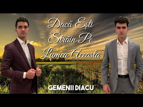 Gemenii Diacu - Dacă Ești Străin Pe Lumea Aceasta ( Versuri )