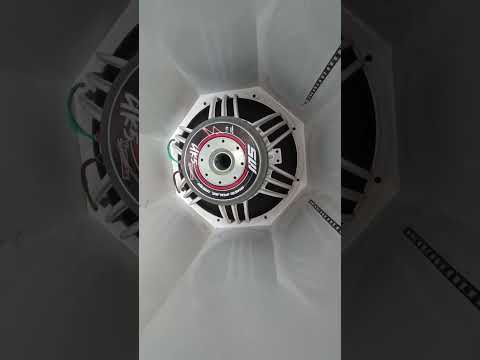 GALO SOM ITABAIANINHA SERGIPE