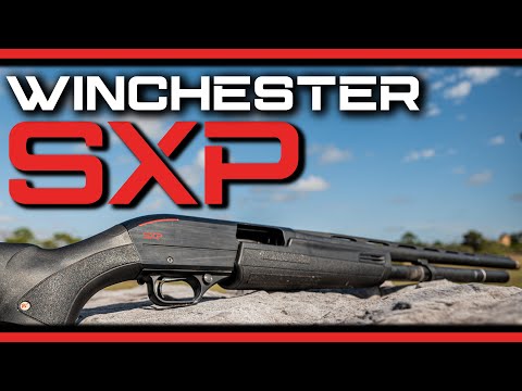 Winchester SXP | 12 Gauge Pump Shotgun Review